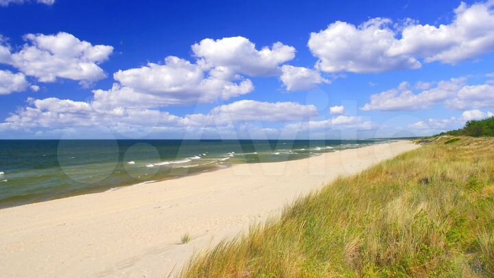 Участок 12,5 сот. (ИЖС)