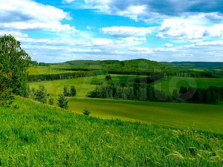 Участок 10 га (СНТ, ДНП)