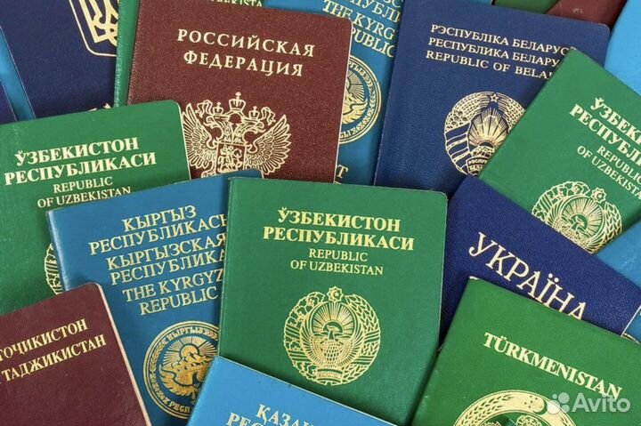 Миграционные услуги
