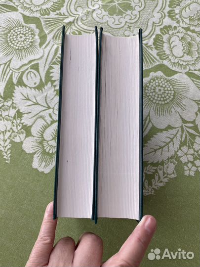 Мировой кризис Я и оно