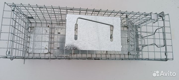 Ловушка для животных