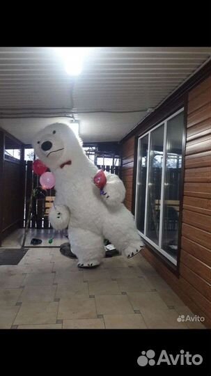 Белый мишка поздравление