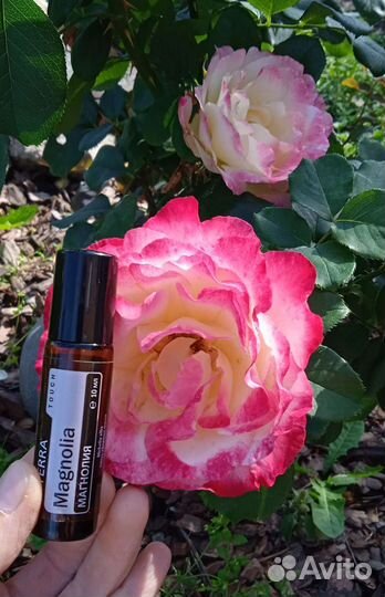 Эфирное масло doTerra магнолия