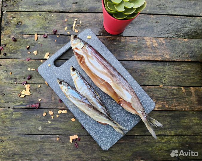 Омуль и не только