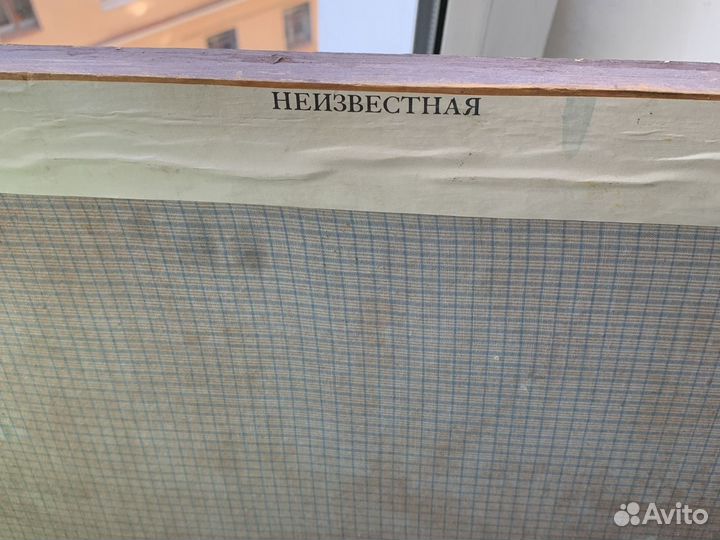 Картина «Неизвестная» Крамской И.Н. 1837-1887