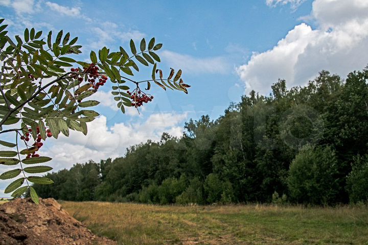 Участок 7 сот. (ИЖС)