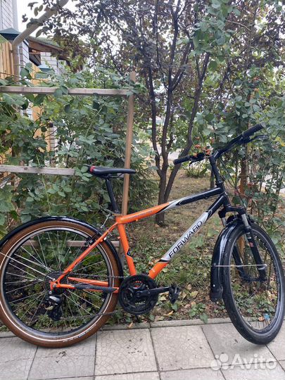 Forward sporting 104