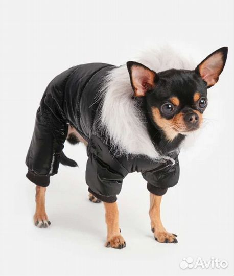 Комбенизон для мелких пород собак Arnydog XL