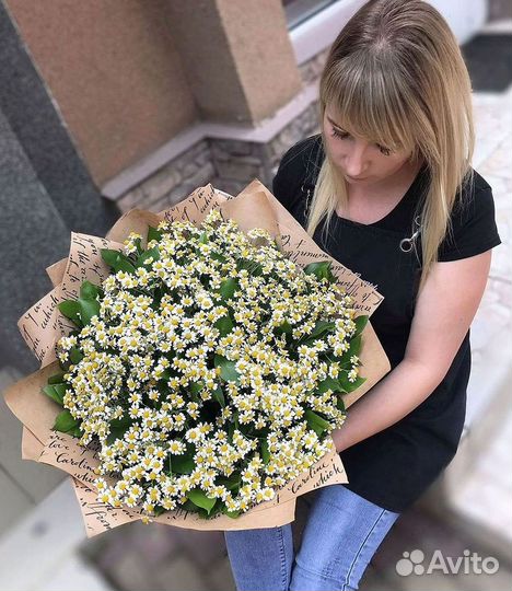 Цветы ромашки. Букеты ромашек. Цветы доставка
