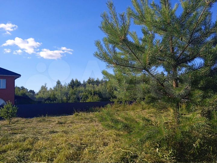 Участок 14,7 сот. (СНТ, ДНП)