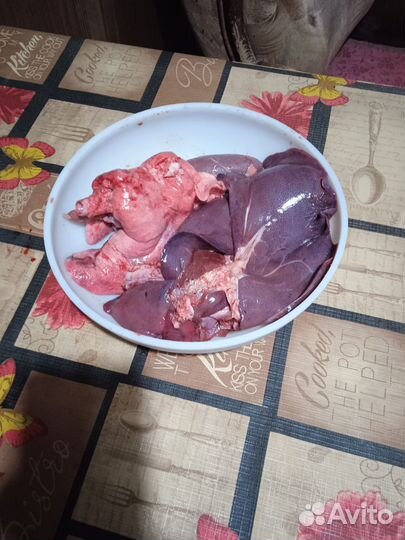 Вьетнамские свинки