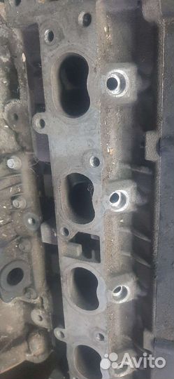 Двигатель ford focus 2 1.6 100 л с