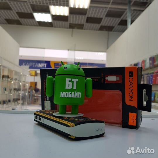 Аккумулятор Canyon CNE-CPB130 коричневый (8946)