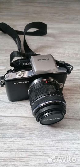 Беззеркальная камера olympus e-pm1