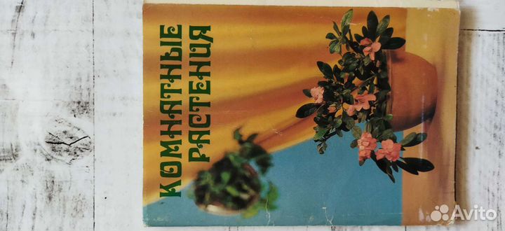 Тюльпаны, книга, открытки о цветах (СССР)