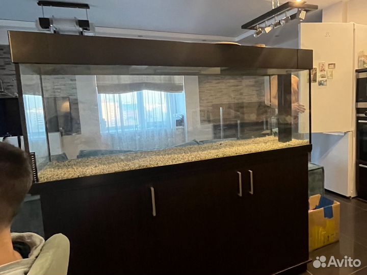 Аквариум