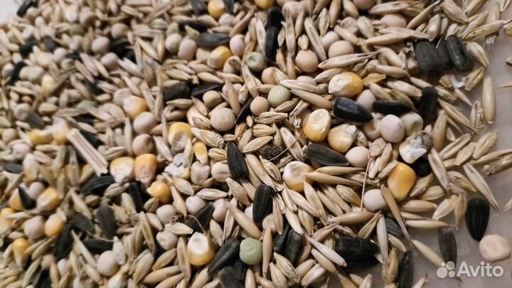 Корм для грызунов