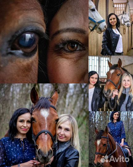 Фотограф, фотосессия с лошадьми