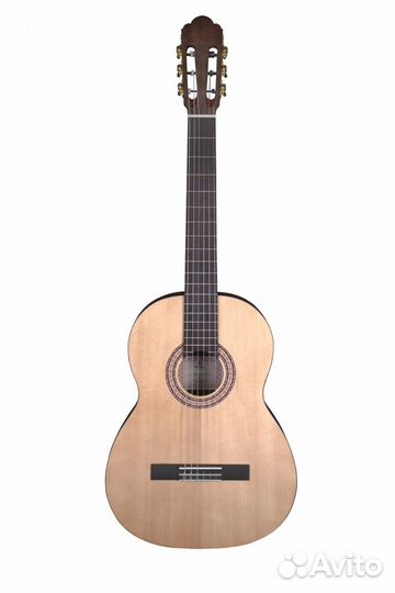 Классическая гитара Prodipe + Аксессуары