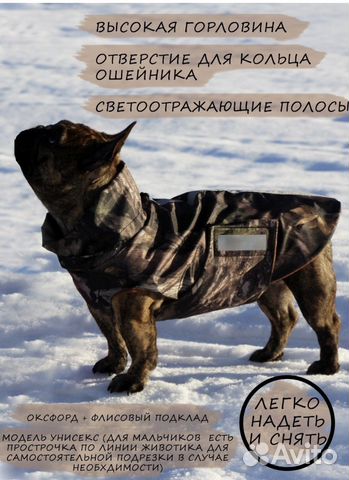 Дождевик утепленный для французского бульдога