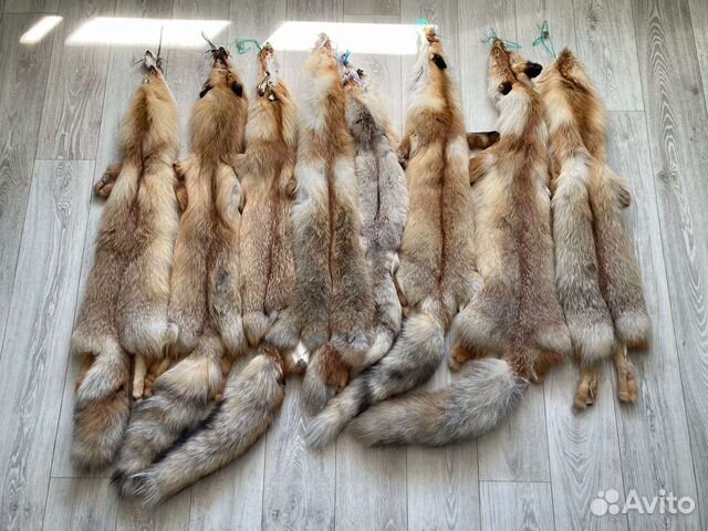 Мех лисы