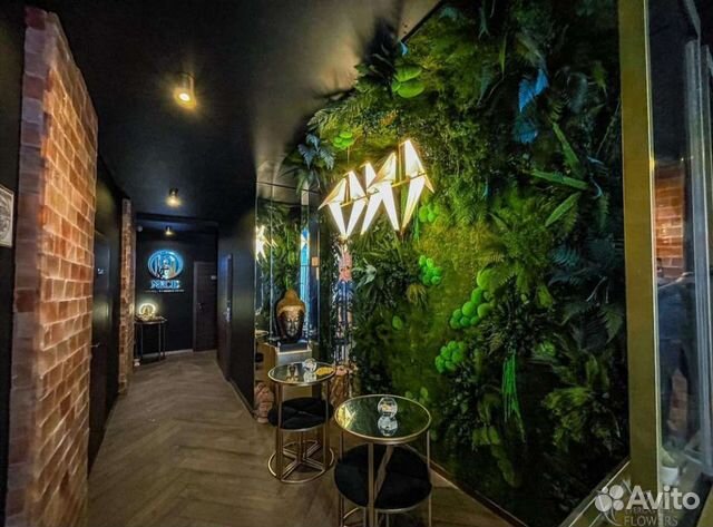 Фитостена из мха и растений