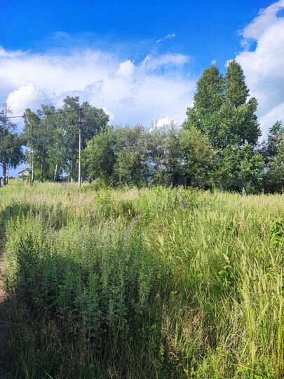 Участок 18,9 сот. (ИЖС)