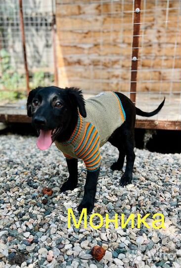 Залюбуйся нами