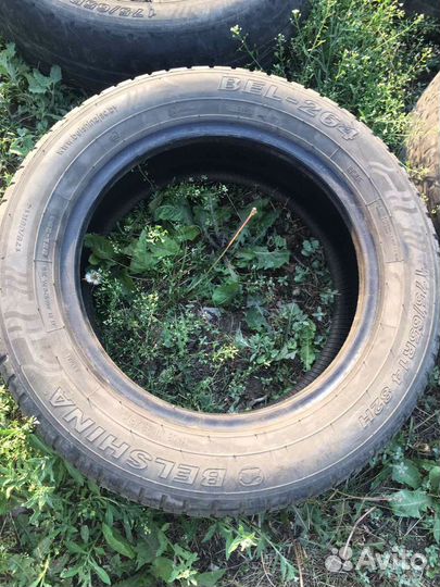 Berlin Summer UHP 175/65 R14