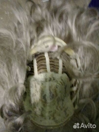 Парик Корея Южная