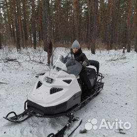 Миниснегоходы для глубокого снега