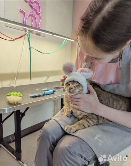 Груминг-салон/зоомагазин в Севкабель Порт