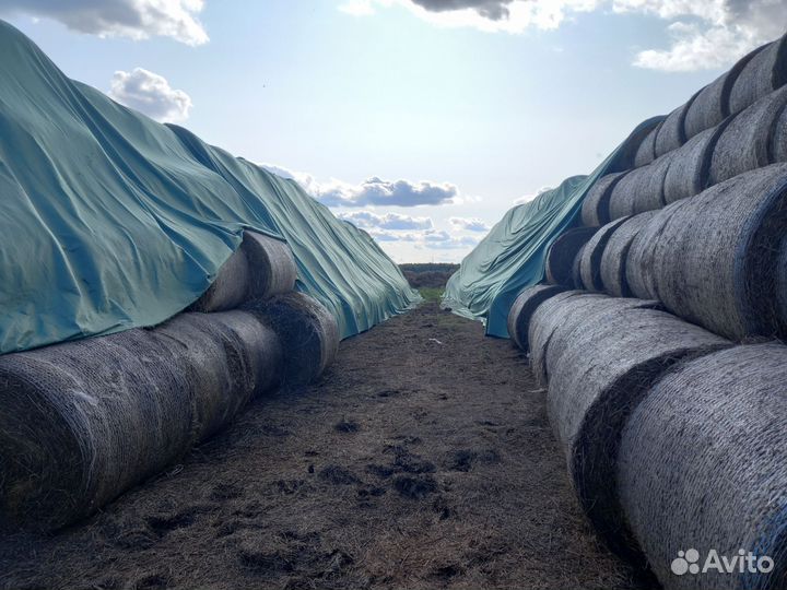 Травяные гранулы из люцерны