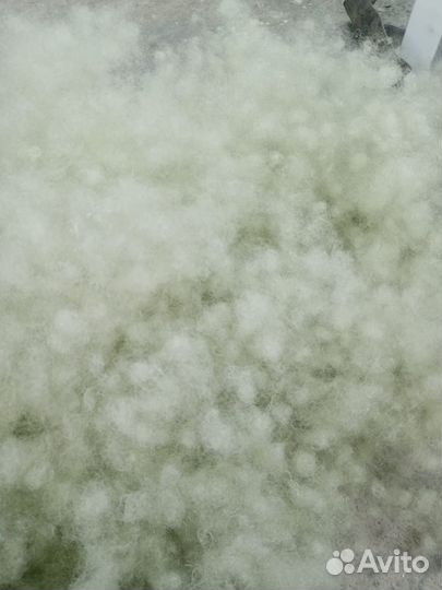 Шарикоформовочный станок