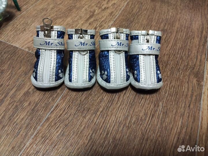 Обувь для животных