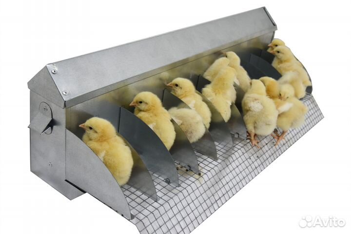 Кормушка бункерная для цыплят «стартер»