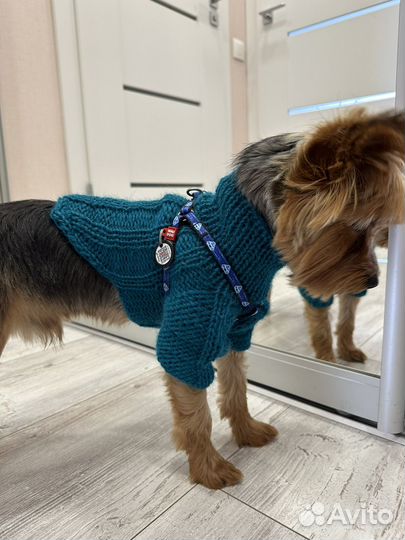 Свитер для собак ручная работа