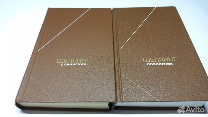 Фридрих Вильгельм Йозеф Шеллинг. Сочинения в 2 т