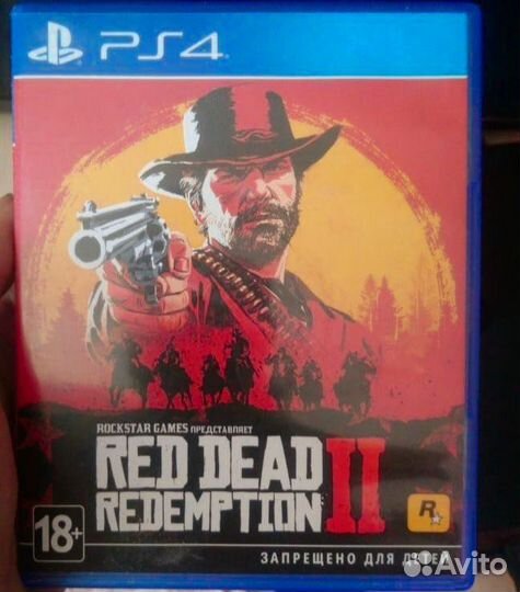 Rdr 2