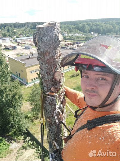 Валка деревьев, обрезка, спил, удаление пней
