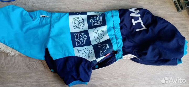 Костюм для собак