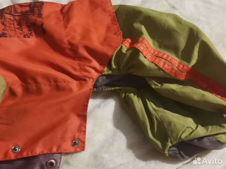 Одежда для собак мелких пород