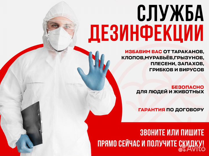 Уничтожение тараканов клопов блох муравьев мышей