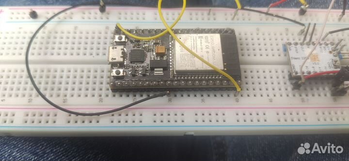 Esp32