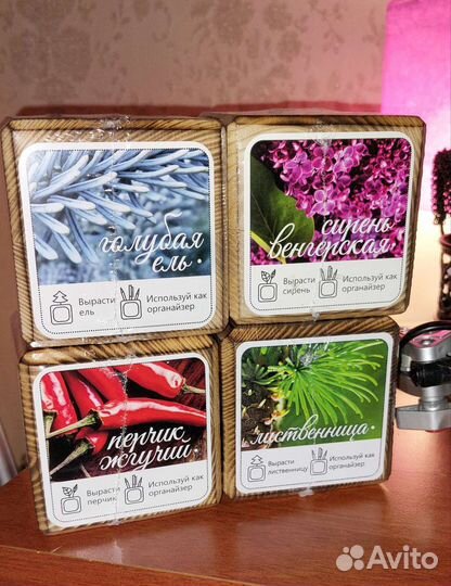 Экокуб Burn семена Набор для выращивания с подстав