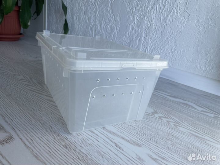 Контейнер для хомяка, улитки