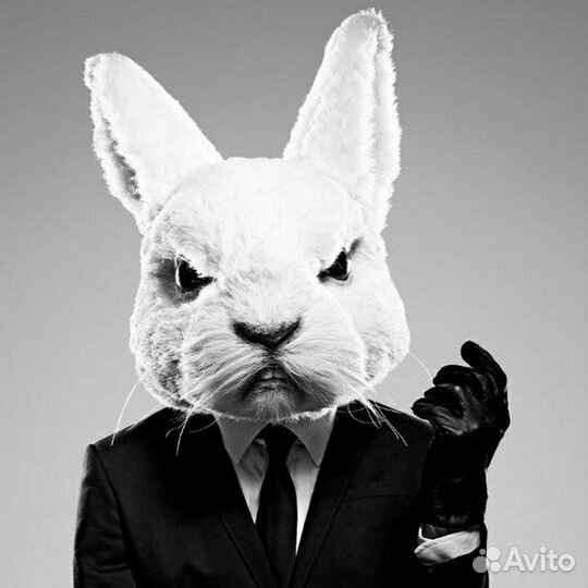 Набор текста, редактирование пдф