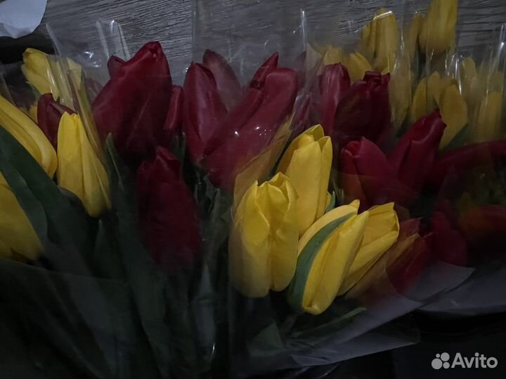 Тюльпаны к 8 марта оптом