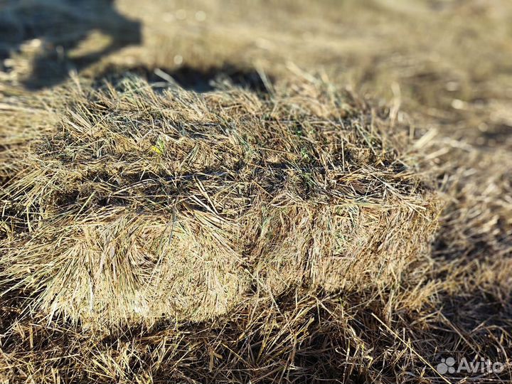 Сено в тюках
