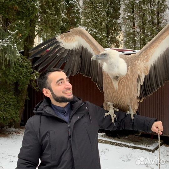 Врач-стоматолог